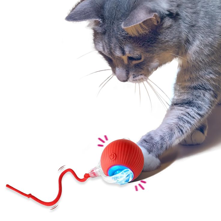 Smart Rolling Cat Ball