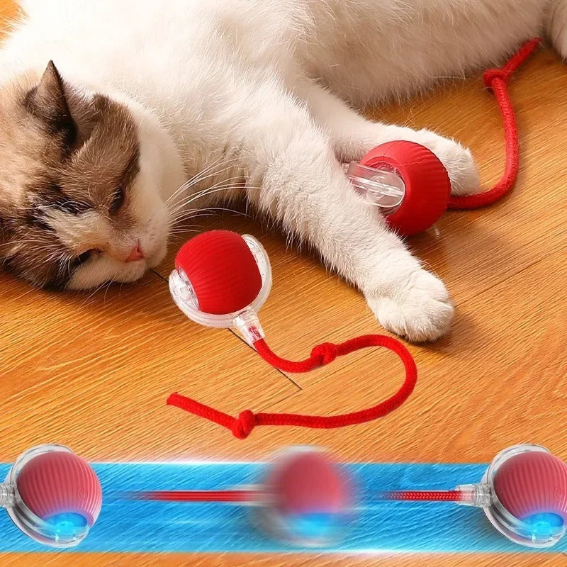 Smart Rolling Cat Ball
