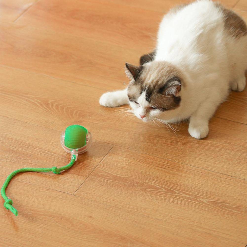 Smart Rolling Cat Ball